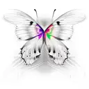 butterfly with script "Grace" in the wing  tattoo design idea