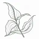 Spathiphyllum tattoo design idea