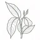 Spathiphyllum tattoo design idea