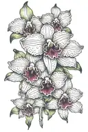 Cattleya tattoo design idea