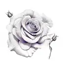 rose, hibiscus, violet tattoo design idea