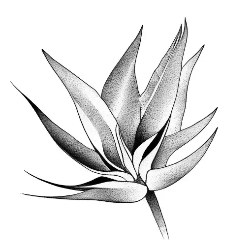 Bird of Paradise tattoo design idea