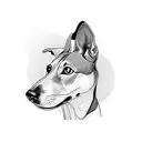 spanish greyhound tabby tattoo design idea