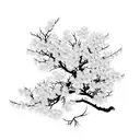 Japanese weeping cherry blossom  tattoo design idea