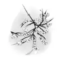 Japanese weeping cherry blossom  tattoo design idea