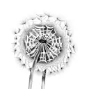 Dandelion tattoo design idea