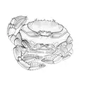 a crab tattoo design idea