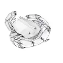 a crab tattoo design idea