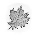 Maple Leaf tattoo design idea