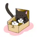 schrodinger cat tattoo design idea