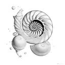 nautilus shell, with interior structure partially exposed, and the fibonacci spiral graph surrounding the shell tattoo design idea