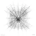 Spider Web tattoo design idea