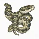 rattlesnake tattoo design idea