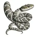 rattlesnake tattoo design idea