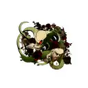 snake skull rose dragon tattoo design idea