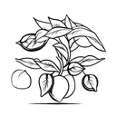 lemon tree stamp tattoo design idea
