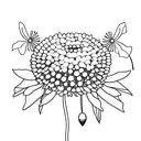 poppy, crysanthemum, and daisy intertwined tattoo design idea