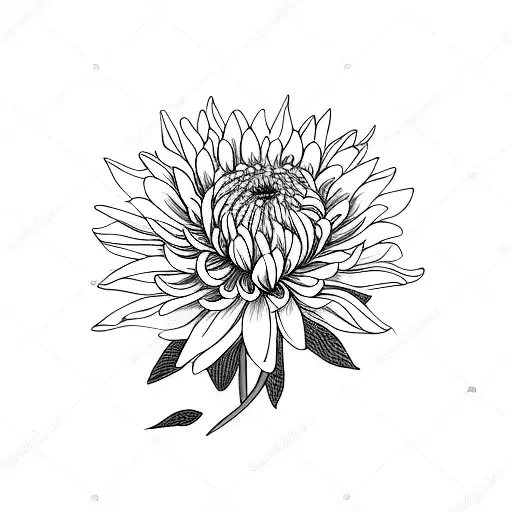 Chrysanthemum, water lily, marigold, violet, poppy in a bouquet with ladybugs  tattoo design idea