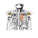 Human torso skeleton side view who prays tattoo design idea