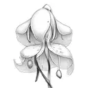 Snowdrop, Violet and Poppy, three together tattoo design idea