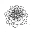 red zinnia flower with stem and leaves from vintage textbook tattoo design idea