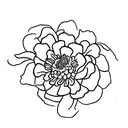red zinnia flower with stem and leaves from vintage textbook tattoo design idea