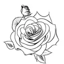 Rose with cursive writing, Eli, Allison tattoo design idea