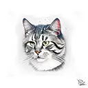 Elvis cat tattoo design idea