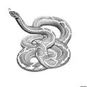 Two snakes mirrored  tattoo design idea
