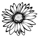 aster and daisies tattoo design idea