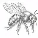 black capenter bee  tattoo design idea