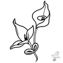 calla and lily of the incas tattoo design idea