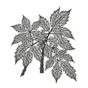 Toronto Maple Leafs. Ben. Ethan. Palm Tree tattoo design idea