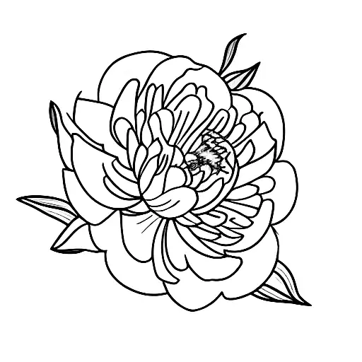peonia tattoo design idea