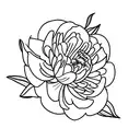 peonia tattoo design idea