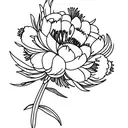 peonia tattoo design idea