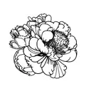 peonia tattoo design idea