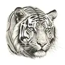 half of hari singh nalwas face and half of it being a tiger tattoo design idea