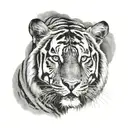 half of hari singh nalwas face and half of it being a tiger tattoo design idea