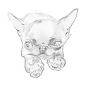 chihuahua tattoo design idea