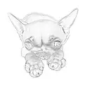 chihuahua tattoo design idea