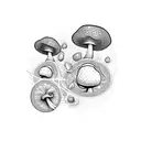hallucinogenic mushrooms, fractal images, DMT molecule tattoo design idea