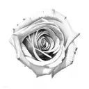 realistic  rose  tattoo design idea