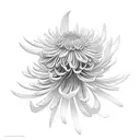 a geisha and japanese chrysanthemum  tattoo design idea