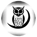 Owl sitting on crescent moon  tattoo design idea
