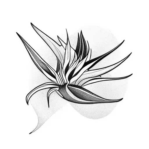 Bird of Paradise tattoo design idea