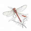 Dragonfly with red wings detail and a semi colon hidden somewhere in it tattoo design idea
