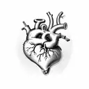 anatomicly correct heart with a stethoscope and caduceus tattoo design idea