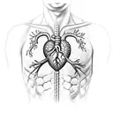 caduceus and an anatomicly correct heart with a stethoscope tattoo design idea