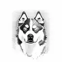 husky and border collie tattoo design idea